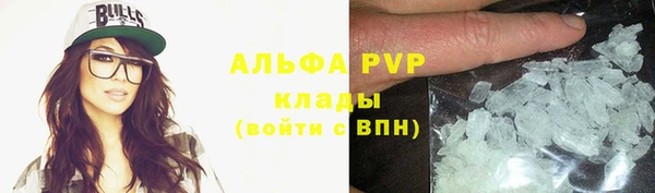 ECSTASY Богданович
