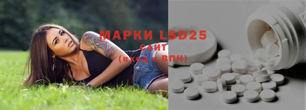 гашик Баксан