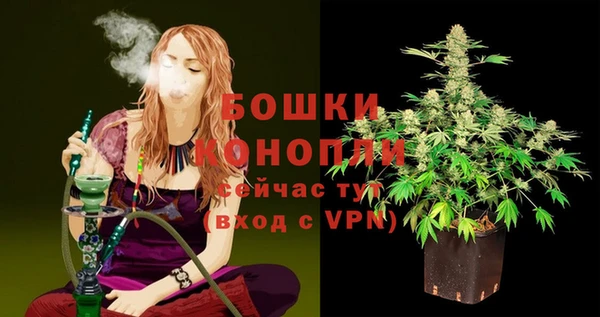 шишки Семилуки