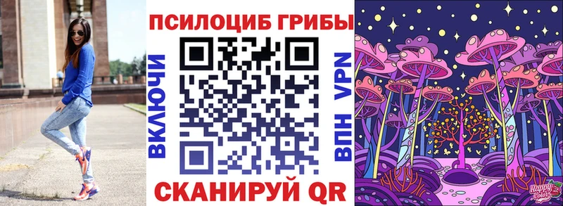 Псилоцибиновые грибы Cubensis закладка Семикаракорск